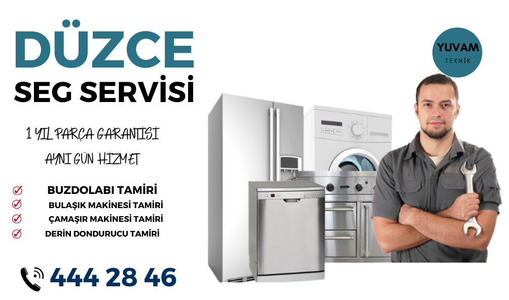Düzce SEG Servisi