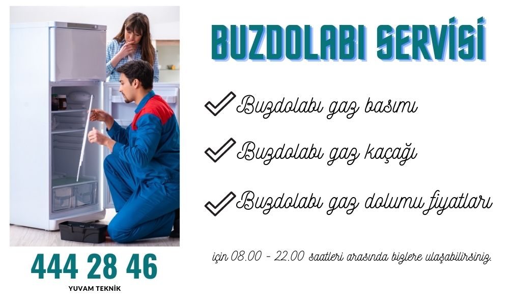 buzdolabı gaz basımı