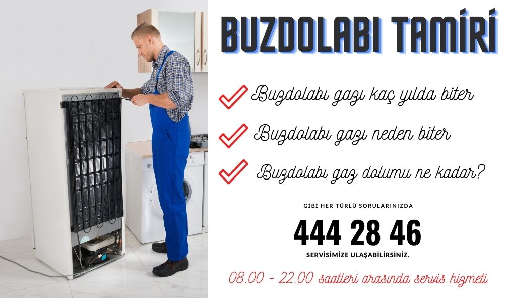 buzdolabı gazı kaç yılda biter