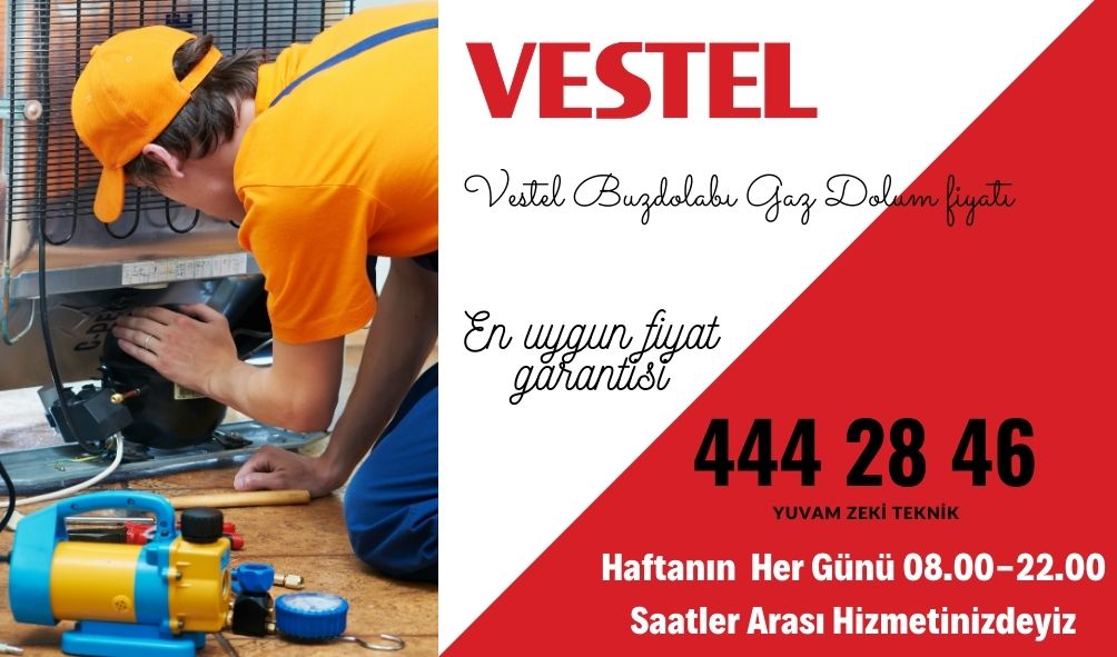 vestel buzdolabı gaz dolumu fiyatı