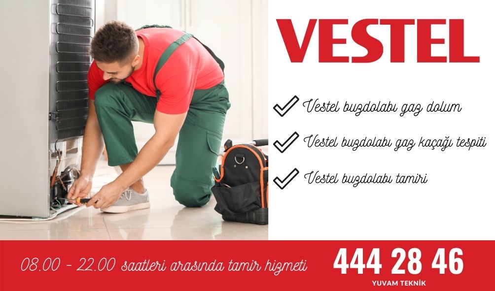 vestel buzdolabı gaz dolumu